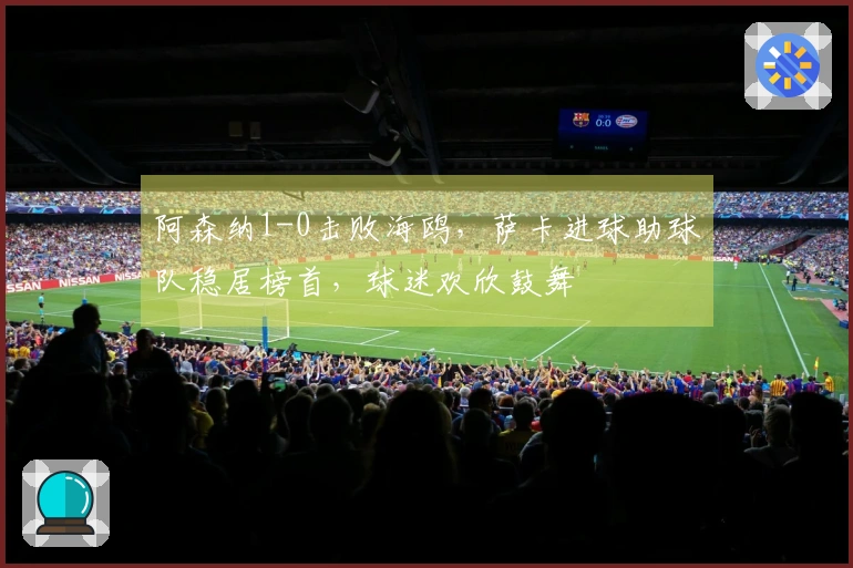 阿森纳1-0击败海鸥，萨卡进球助球队稳居榜首，球迷欢欣鼓舞