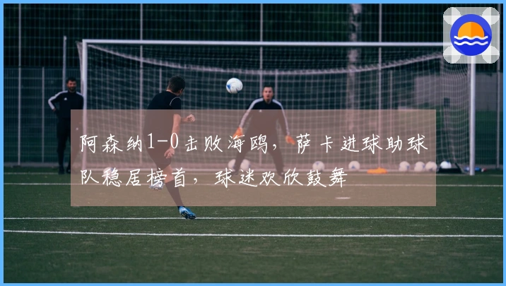 阿森纳1-0击败海鸥，萨卡进球助球队稳居榜首，球迷欢欣鼓舞