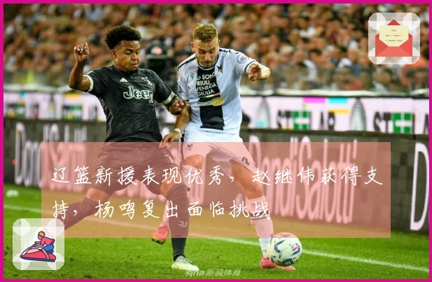 辽篮新援表现优秀，赵继伟获得支持，杨鸣复出面临挑战