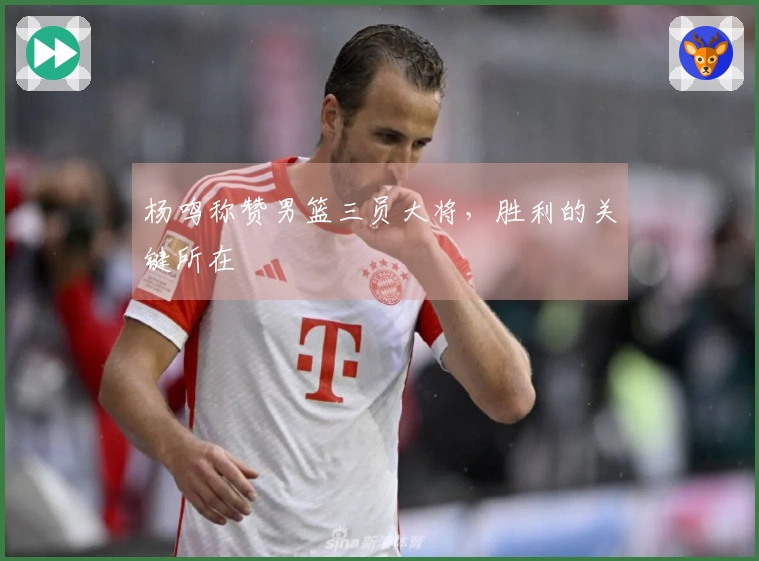 杨鸣称赞男篮三员大将，胜利的关键所在